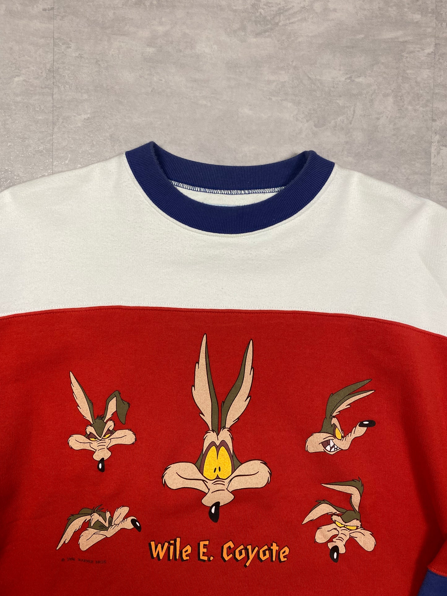 Looney Tunes sweatshirt