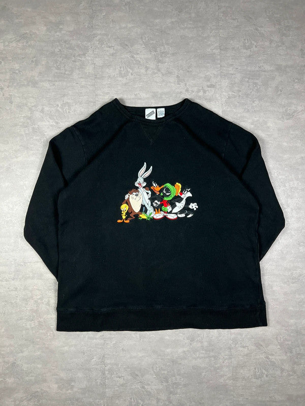 Warner bros embroidered sweatshirt