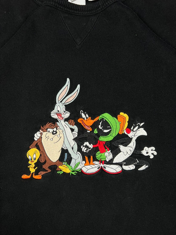 Warner bros embroidered sweatshirt